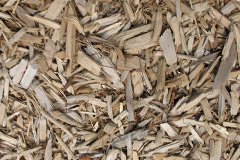 biomass boilers Dunoon